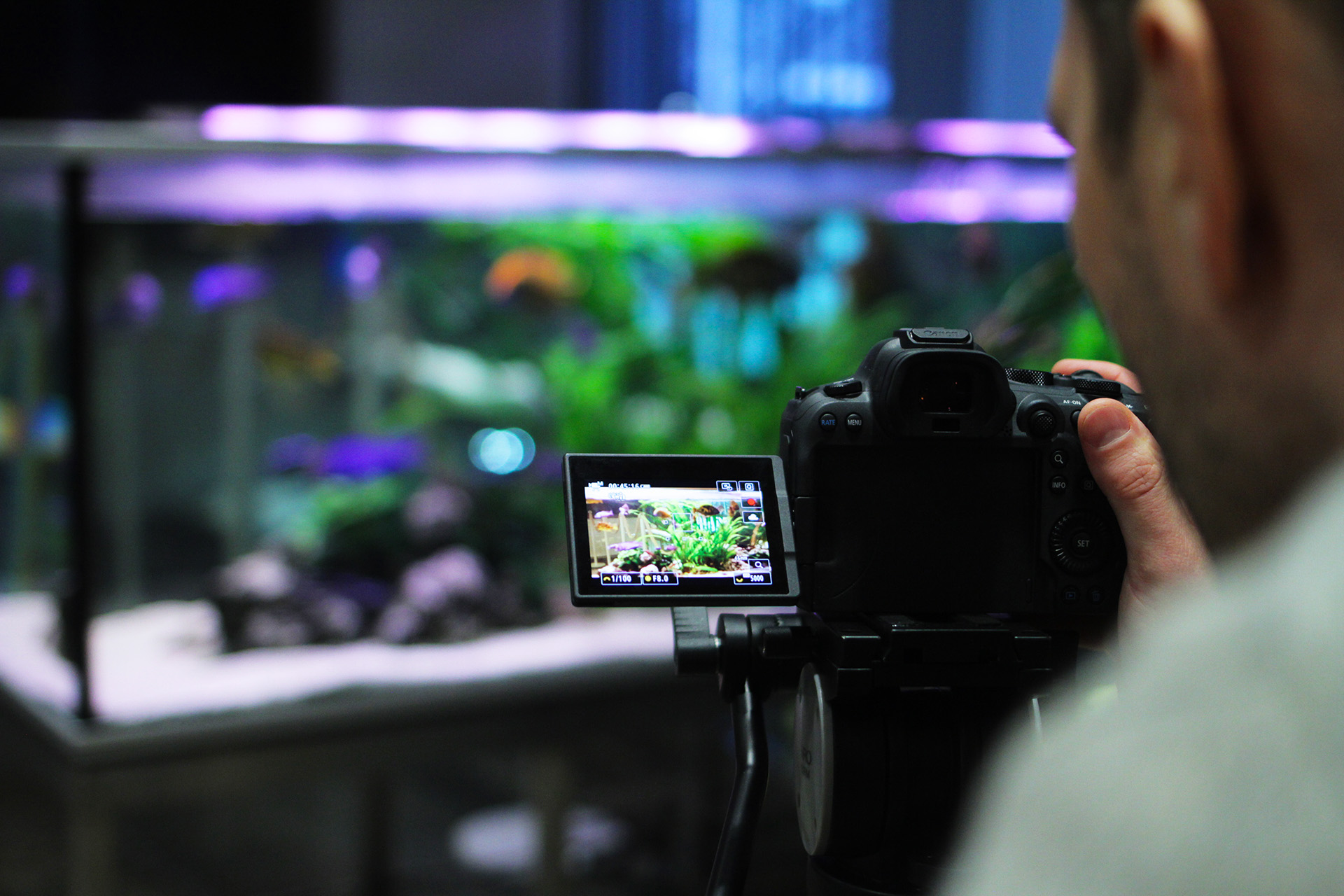 Filmning-akvarium-studiotjanster